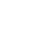 POLICIAL